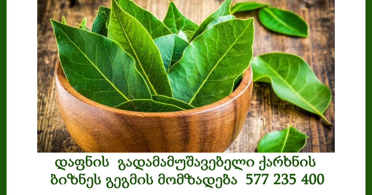 დაფნის გადამამუშავებელი ქარხნის ბიზნეს გეგმის მომზადება