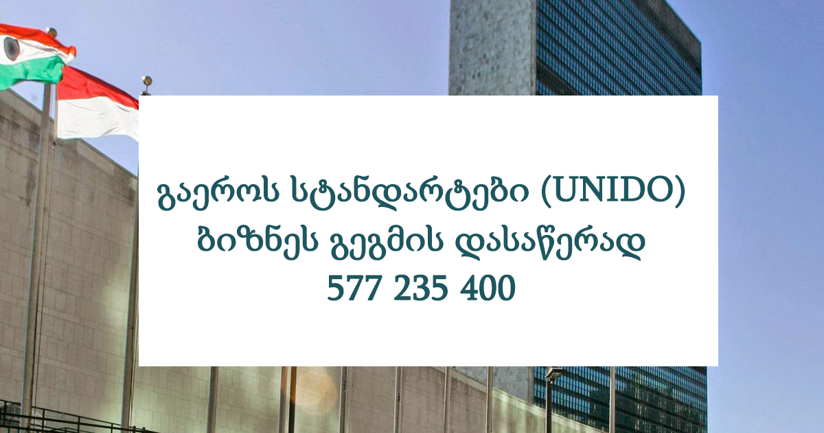 გაეროს სტანდარტები (UNIDO) ბიზნეს გეგმის დასაწერად