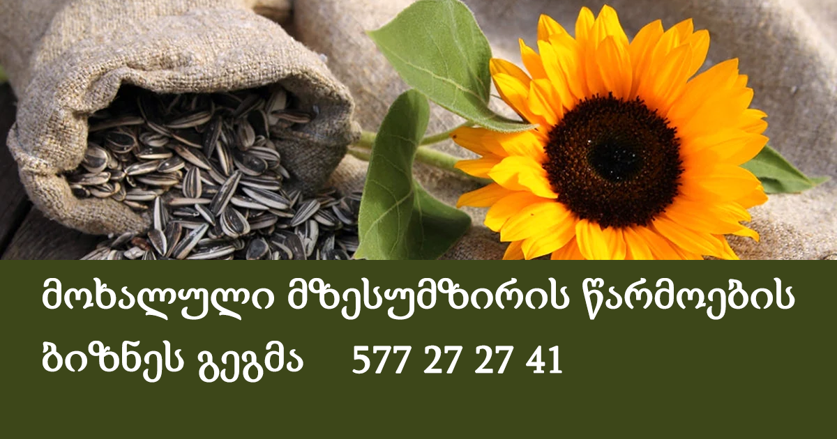 მოხალული მზესუმზირის წარმოების ბიზნეს გეგმა 577 27 27 41
