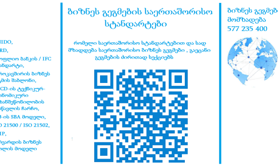 International business plan standards overview